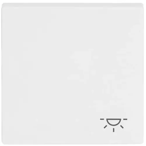 Busch-Jaeger 2520 LI-84 schakelwip symbool licht Future Linear studiowit glans