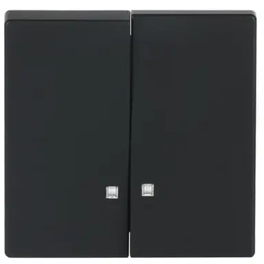 Busch-Jaeger 1785 K-885 schakelwip 2-voudig met controlevenster Future Linear zwart mat