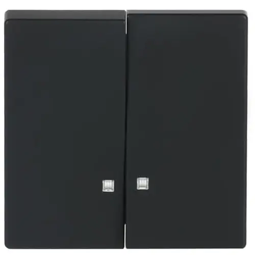 Busch-Jaeger 1785 K-885 schakelwip 2-voudig met controlevenster Future Linear zwart mat