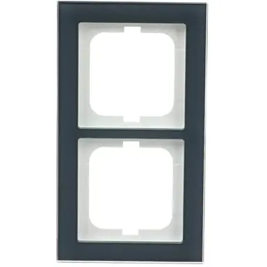 Busch-Jaeger 1722-229 afdekraam 2-voudig Axcent glas oester