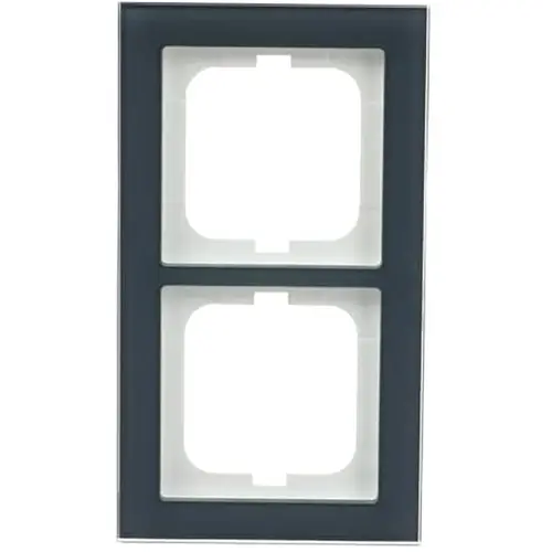 Busch-Jaeger 1722-229 afdekraam 2-voudig Axcent glas oester