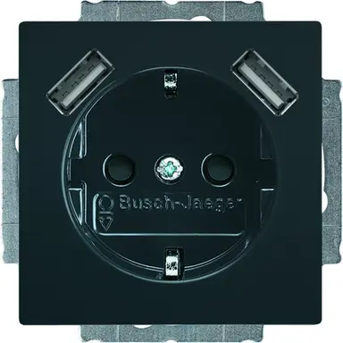 Busch-Jaeger 20 EUCB2USB-81 wandcontactdoos randaarde kindveilig met 2xUSB Future Linear antraciet glans