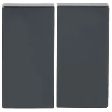 Busch-Jaeger 6736 FoH-81 Friends of Hue schakelwip 2-voudig Future Linear antraciet glans