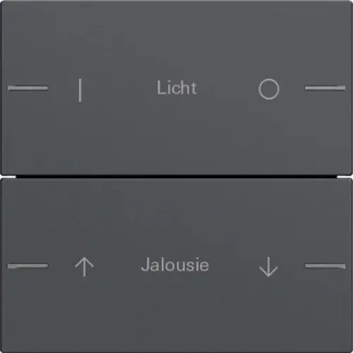 Gira 576228 wippenset 2-voudig individueel Tastsensor 4.55 antraciet mat