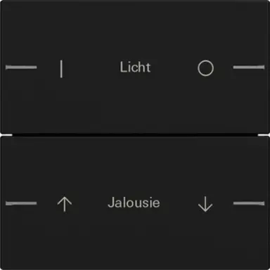 Gira 5762005 wippenset 2-voudig individueel Tastsensor 4.55 zwart mat