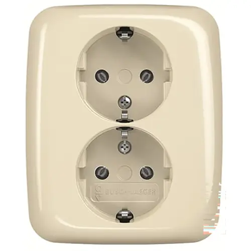 Busch-Jaeger 202 EUJR-212 wandcontactdoos 2-voudig randaarde voor enkele inbouwdoos Standaard SI