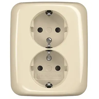 Busch-Jaeger 202 EUJRB-212 wandcontactdoos 2-voudig randaarde kindveilig voor enkele inbouwdoos Standaard SI