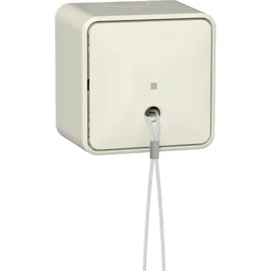Gira 314612 trekschakelaar met interne montageplaat opbouw 10A creme