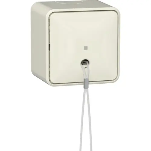 Gira 314612 trekschakelaar met interne montageplaat opbouw 10A creme