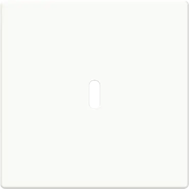 Busch-Jaeger 6479-84 centraalplaat USB-C Future Linear studiowit glans