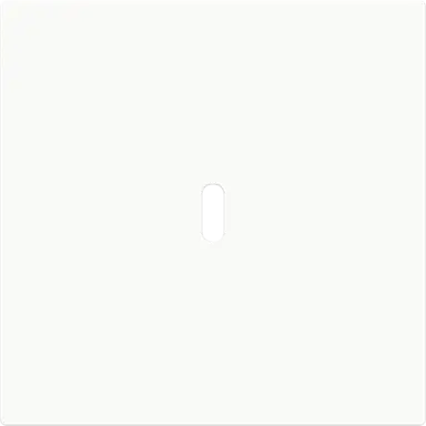 Busch-Jaeger 6479-44G centraalplaat USB-C Art Linear studiowit glans