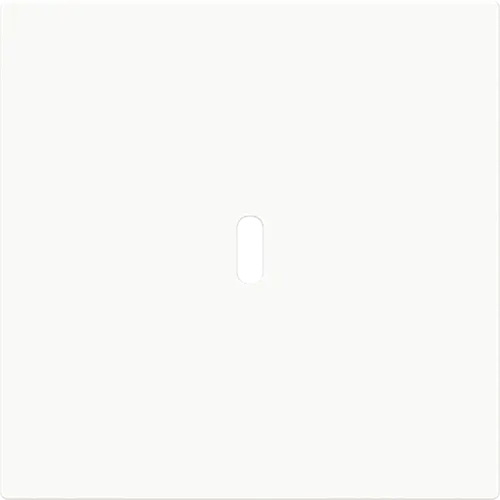 Busch-Jaeger 6479-44G centraalplaat USB-C Art Linear studiowit glans