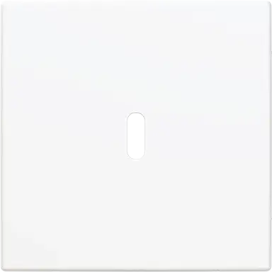 Busch-Jaeger 6479-914 centraalplaat USB-C Balance SI wit glans