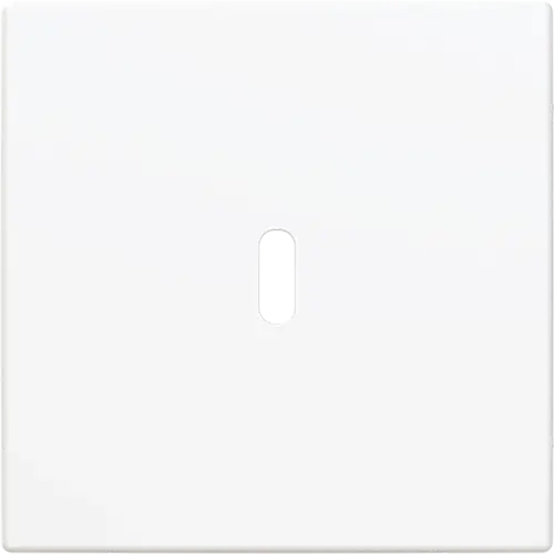 Busch-Jaeger 6479-914 centraalplaat USB-C Balance SI wit glans