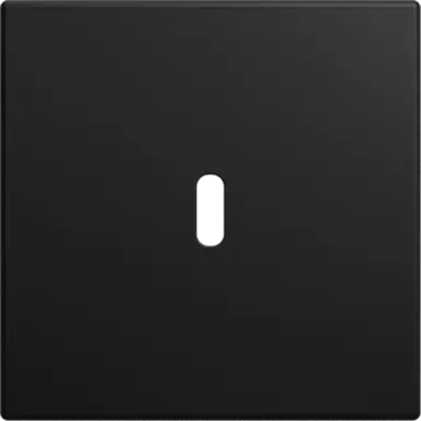 Busch-Jaeger 6479-915 centraalplaat USB-C Balance SI zwart mat