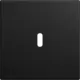 Busch-Jaeger 6479-915 centraalplaat USB-C Balance SI zwart mat