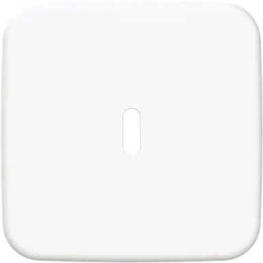 Busch-Jaeger 6479-214 centraalplaat USB-C Reflex SI