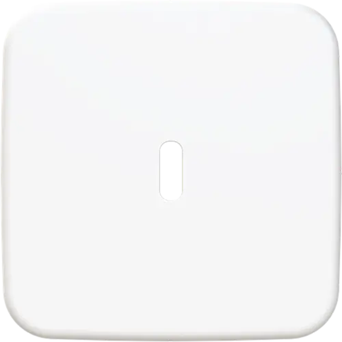 Busch-Jaeger 6479-214 centraalplaat USB-C Reflex SI