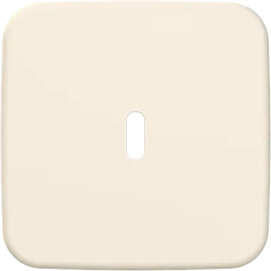 Busch-Jaeger 6479-212 centraalplaat USB-C Standaard SI