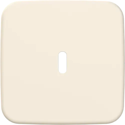 Busch-Jaeger 6479-212 centraalplaat USB-C Standaard SI