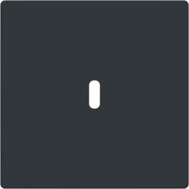 Busch-Jaeger 6479-81 centraalplaat USB-C Future Linear antraciet glans