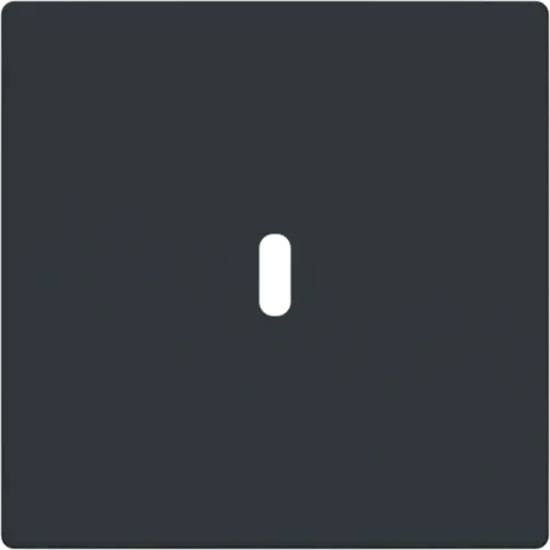 Busch-Jaeger 6479-81 centraalplaat USB-C antraciet glans