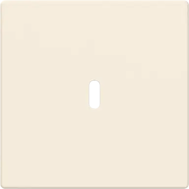 Busch-Jaeger 6479-82 centraalplaat USB-C Future Linear creme glans