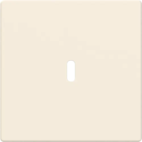 Busch-Jaeger 6479-82 centraalplaat USB-C creme glans