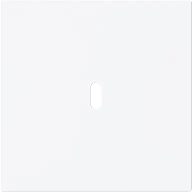 Busch-Jaeger 6479-44M centraalplaat USB-C Art Linear studiowit mat