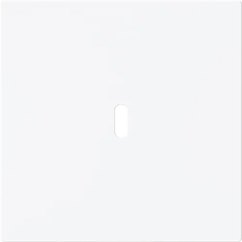 Busch-Jaeger 6479-44M centraalplaat USB-C Art Linear studiowit mat