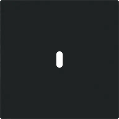 Busch-Jaeger 6479-45M centraalplaat USB-C Art Linear zwart mat