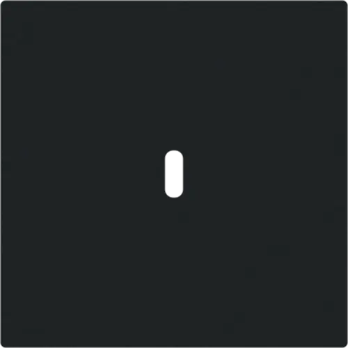 Busch-Jaeger 6479-45M centraalplaat USB-C Art Linear zwart mat