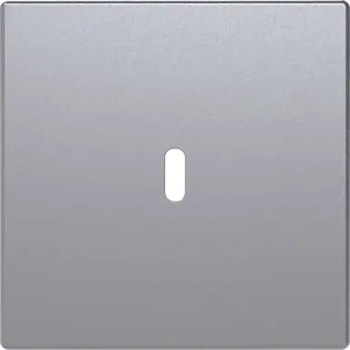 Busch-Jaeger 6479-83 centraalplaat USB-C Future Linear aluzilver mat