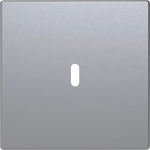 Busch-Jaeger 6479-83 centraalplaat USB-C Future Linear aluzilver mat