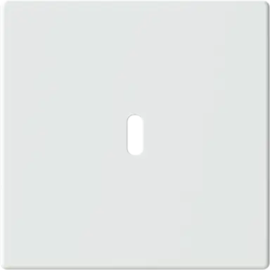 Busch-Jaeger 6479-884 centraalplaat USB-C Future Linear studiowit mat