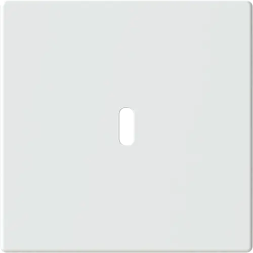 Busch-Jaeger 6479-884 centraalplaat USB-C studiowit mat