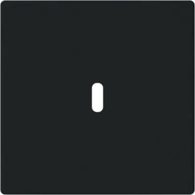 Busch-Jaeger 6479-885 centraalplaat USB-C Future Linear zwart mat