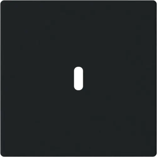 Busch-Jaeger 6479-885 centraalplaat USB-C Future Linear zwart mat