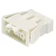 Wieland 92.031.9658.0 GST18I3 connector contrastekker female 3-polig 250V 20A IP20 halogeenvrij wit