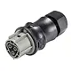 Wieland 96.031.4154.3 RST25i3 connector 3-polig 250V 25A IP66/IP68/IP69 halogeenvrij grijs