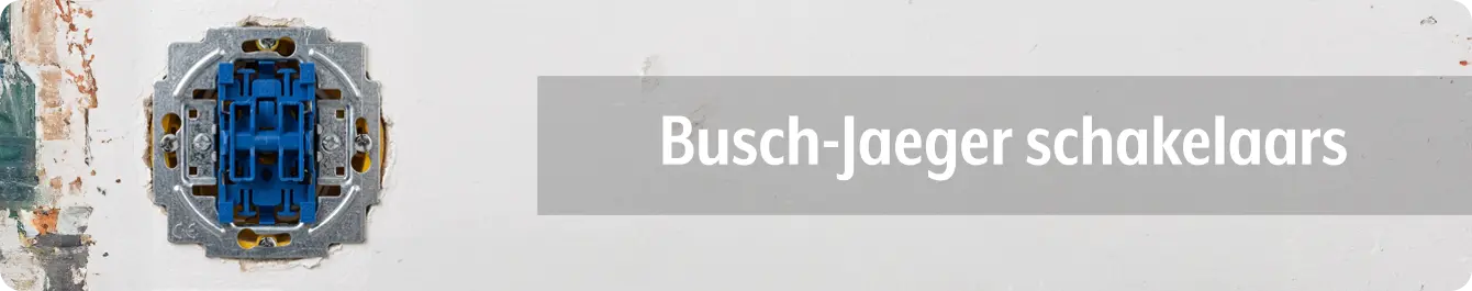 Busch-Jaeger schakelaars
