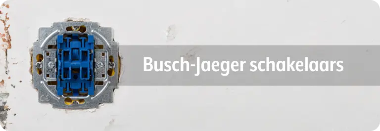 Busch-Jaeger schakelaars