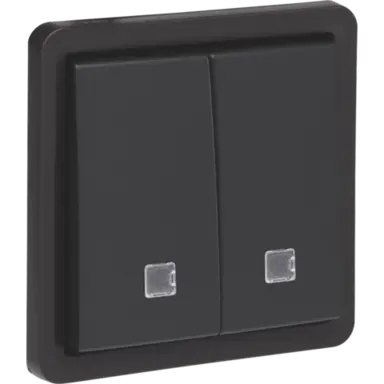 Niko 761-35100 Hydro verlichtbare pulsdrukker 2-voudig met controlevenster 2 maak- of verbreekcontacten schroefklemmen zwart