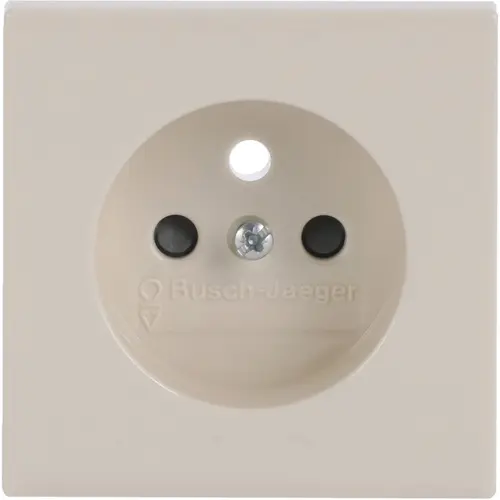 Busch-Jaeger 2399 UCKS-82 centraalplaat voor wandcontactdoos met penaarde Future Linear creme glans