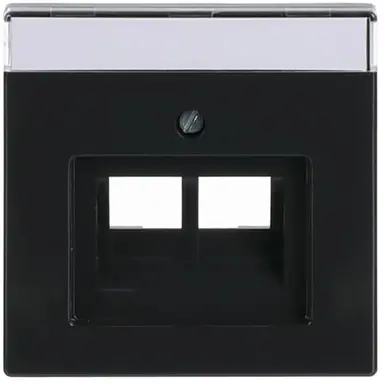 Busch-Jaeger 1803-02-81 centraalplaat RJ45 wandcontactdoos 2-voudig Future Linear antraciet glans