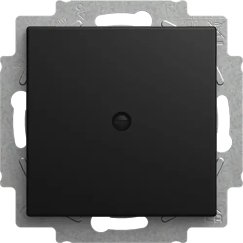 Busch-Jaeger 2538-915 blinddeksel incl. draagframe Balance SI zwart mat