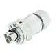 Wieland 96.032.0053.0 RST20i3 connector 3-polig 250V 20A halogeenvrij grijs