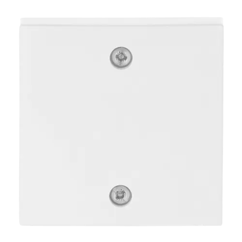 Busch-Jaeger 2610/6 UC-914-503 trekschakelaar incl. centraalplaat Balance SI wit glans