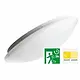 Megaman MM10268 RENZO opbouw plafond-/wandarmatuur LED 15W