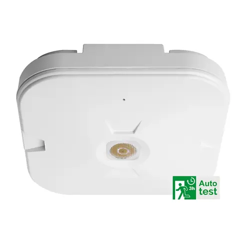 Megaman MM11365 noodverlichting highbay plafondopbouw autotest 240lm IP54